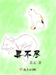 寻不尽